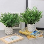 TIMESETL 2Stück Künstliche Pflanzen Mini Kunstpflanzen Echt Pflanzen Künstlich Eukalyptus Pflanzen mit Topf für Home Schreibtisch Küche Badezimmer Garden Deko