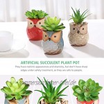 Yardwe 3 STÜCKE Künstliche Sukkulenten Pflanzen Mini kunststoffpflanzen,für Home Bath Büro Regal Dekoration