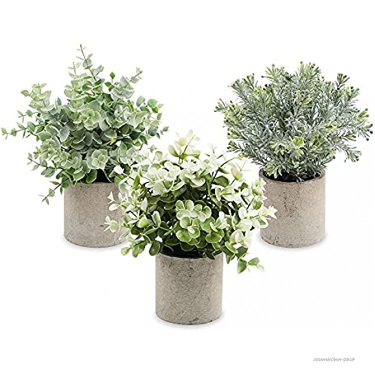 Zalava 3 Stück Künstliche Pflanzen Künstliche Pflanzen mit Topf Kunstpflanze klein für Tisch Haus Balkon Büro Deko Grün-1