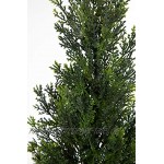 Zeder Konifere Natura 60cm LA künstliche Pflanzen Baum Kunstpflanzen Kunstbaum Thuja Zypresse