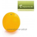 artplants.de Künstliche Orange 8cm Künstliches Obst Deko Früchte