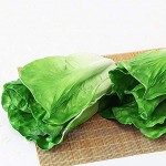 Cozyhoma Künstlicher Salat künstliches Gemüse Dekoration künstlicher Salat für Heimdekoration Foto-Requisiten Grün: 2 Stück.