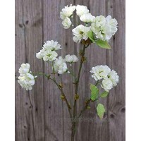 artplants.de Künstlicher Blütenzweig Kirsche Sura mit Blüten Creme-weiß 75cm Kirschblütenzweig Deko Kunstblumen Zweig
