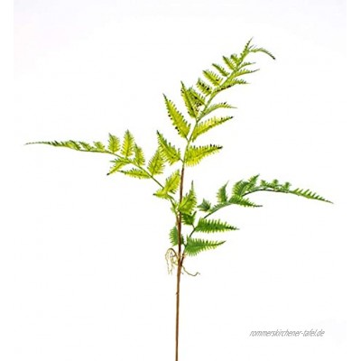 artplants.de Künstlicher Farnzweig Luftwurzeln 3 Blätter 65cm Ø 40cm Künstliches Farn Künstlicher Zweig