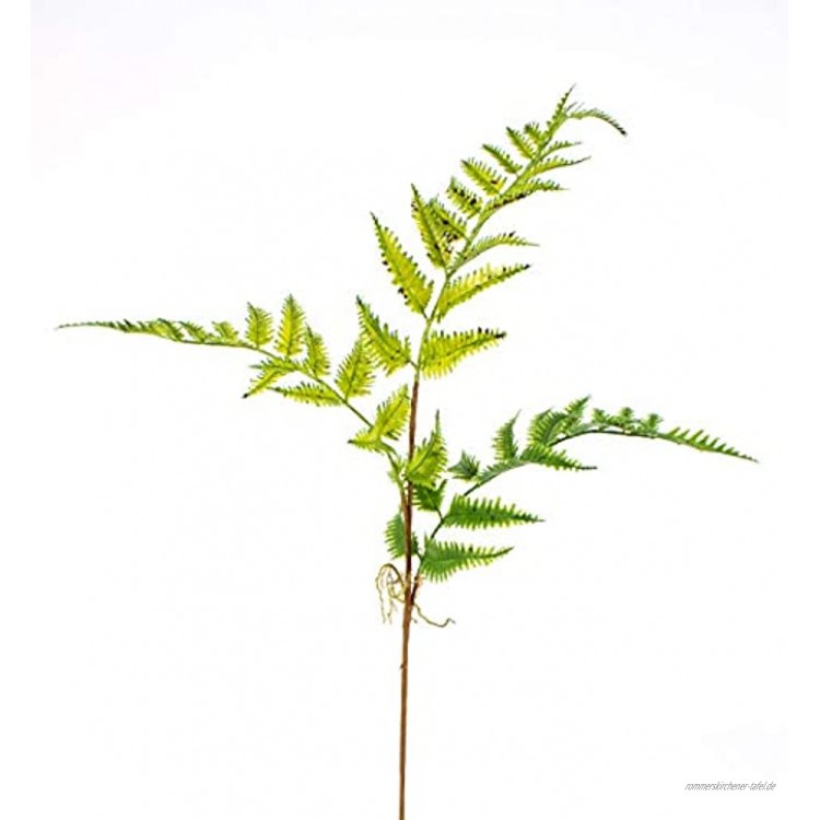 artplants.de Künstlicher Farnzweig Luftwurzeln 3 Blätter 65cm Ø 40cm Künstliches Farn Künstlicher Zweig