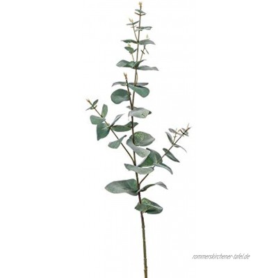 artplants.de Set 24 x Plastik Eukalyptus Zweig Calliope grün-grau 70cm Deko Eucalyptus Falscher Eukalyptus