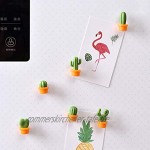 Kcnsieou Dekorative Magnete Magnet Mini Kaktus Kühlschrank Festivals Magnetaufkleber ein Set von 6 Stück