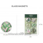 Multibey transparenter Cabochon-Glas-Kühlschrank-Magnet-Recreator dekorative Kühlschrank-Magnete mit grünen Pflanzen Muster bedruckte Aufkleber Notizenhalter Home Decor Green Plant