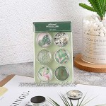 Multibey transparenter Cabochon-Glas-Kühlschrank-Magnet-Recreator dekorative Kühlschrank-Magnete mit grünen Pflanzen Muster bedruckte Aufkleber Notizenhalter Home Decor Green Plant