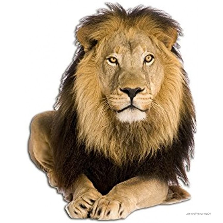GRAZDesign Wandtattoo Löwe Löwenkopf Wandaufkleber Savanne Afrika Tattoo Tier 3D 52x40cm