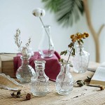 Glasvase Für Blumen 5er-Set Klare Vintage Bud Vase Süße Mini-Erbsenvase Für Tischdekoration Innendekor Hochzeit klar 5