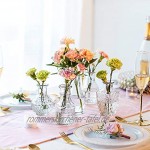 Glasvase Für Blumen 5er-Set Klare Vintage Bud Vase Süße Mini-Erbsenvase Für Tischdekoration Innendekor Hochzeit klar 5
