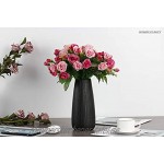 Haucy 5er Blumenvasen Schwarz aus Keramik Vasen für pampasgras Schwarz Vase für Wohnzimmer Tisch Zuhause Büro Deko- 1 STK 22,5x5,8 cm