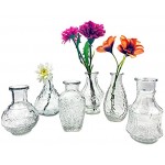 itsisa Glasvase Vintage Klarglas Vase H: 11,5-14,5 cm 6er Set schöne kleine Vase Landhaus Stil zur Tischdekoration