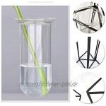 SHINA Reagenzglas-Vase mit Eisenrahmen Ständer für den Schreibtisch Glas-Pflanzgefäß Hydrokultur-Vase Wandbehang montierte Vase mit Gestell Halterung für Hydrokultur-Pflanzen Heim und Büro-Dekoration