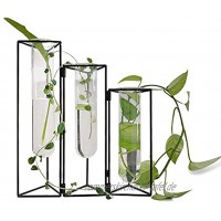 SHINA Reagenzglas-Vase mit Eisenrahmen Ständer für den Schreibtisch Glas-Pflanzgefäß Hydrokultur-Vase Wandbehang montierte Vase mit Gestell Halterung für Hydrokultur-Pflanzen Heim und Büro-Dekoration