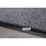 andiamo Fußmatte Verdi Türmatte Sauberlaufmatte für Innen- und überdachte Außenbereiche mit rutschhemmender Rückseite Fußabtreter 60 x 90 cm grau