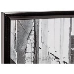 Die Fotoalbum-Firma a3 29,7 x 42 cm Rückenlader Nicht-gläserne Zertifizierung Bildrahmen-schwarz