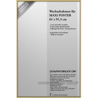 posterdepot Bilderrahmen f. Maxi-Poster Größe 61 x 91,5 cm Gold 2mm Antireflex Acrylglas Top-Qualität Made in Germany